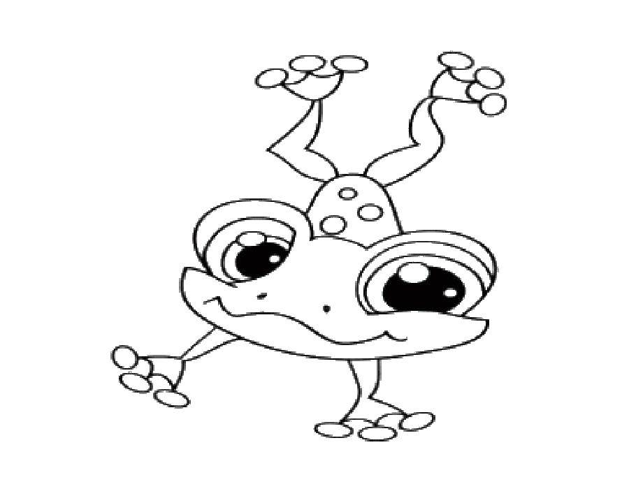 Раскраска лягушки Рептилии для развития моторики и творческого мышления (лягушка)
