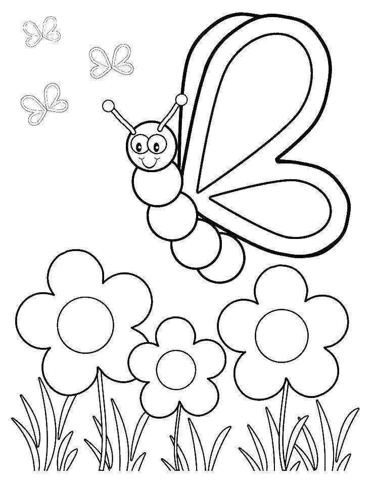 Раскраска с бабочками и цветочками для детей (цветочки)