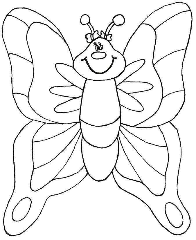 Раскраска бабочки с крыльями и бантиками для мальчиков девочек (Весна, бабочка, бантики)