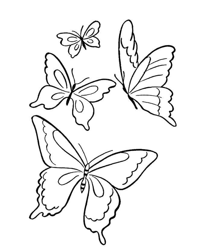 Раскраска с бабочками для детей