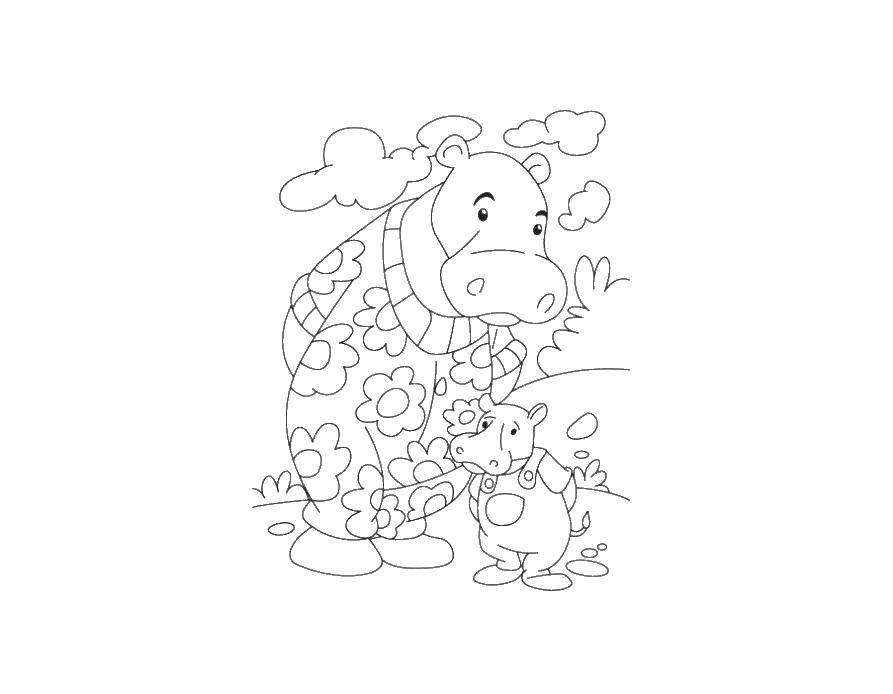 Раскраска бегемота для детей (бегемот)