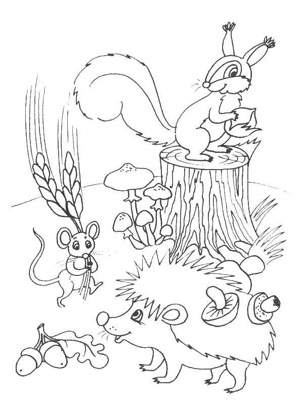 Раскраски на тему осени, животных и грибов для детей разных возрастов (осень, грибы, развивающие)