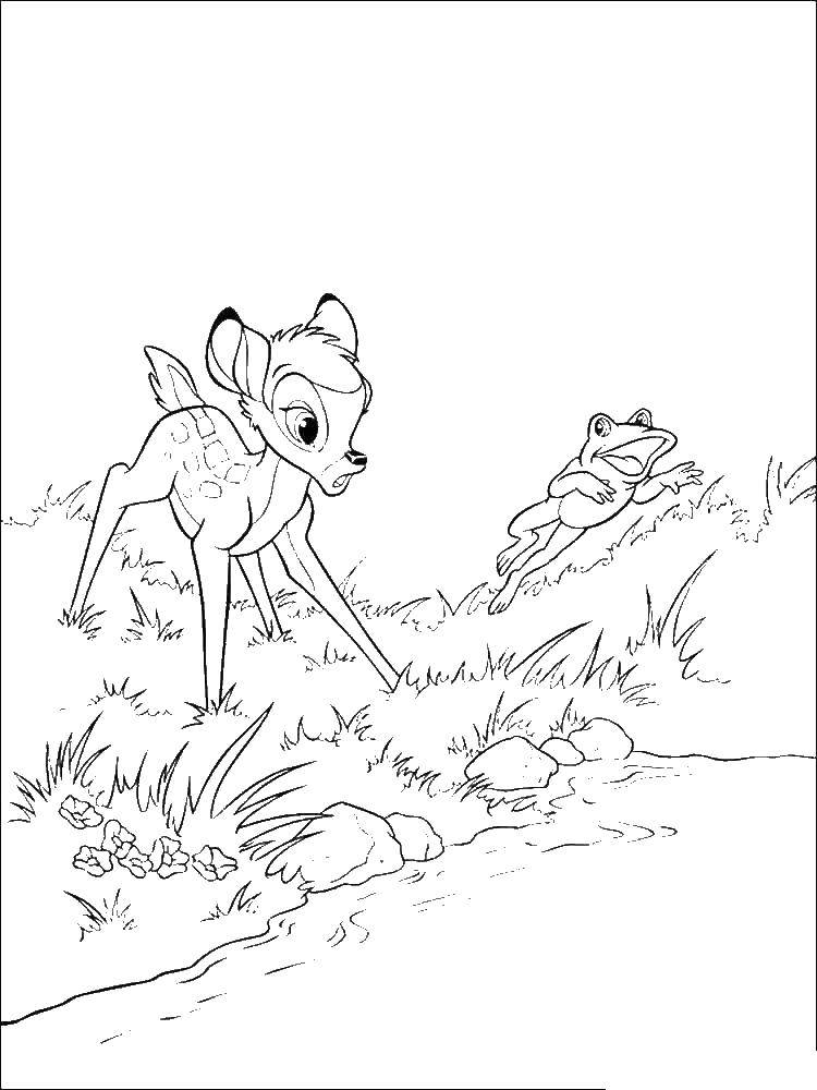 Раскраска с зайчиком и Бэмби для девочек малышей (зайчик, Бэмби)