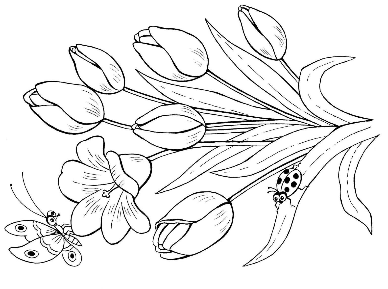 Раскраска цветок: Букет тюльпанов с божьей коровкой и бабочкой (цветок)