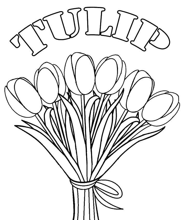 Раскраска цветы тюльпаны с лентой (тюльпаны, лента)