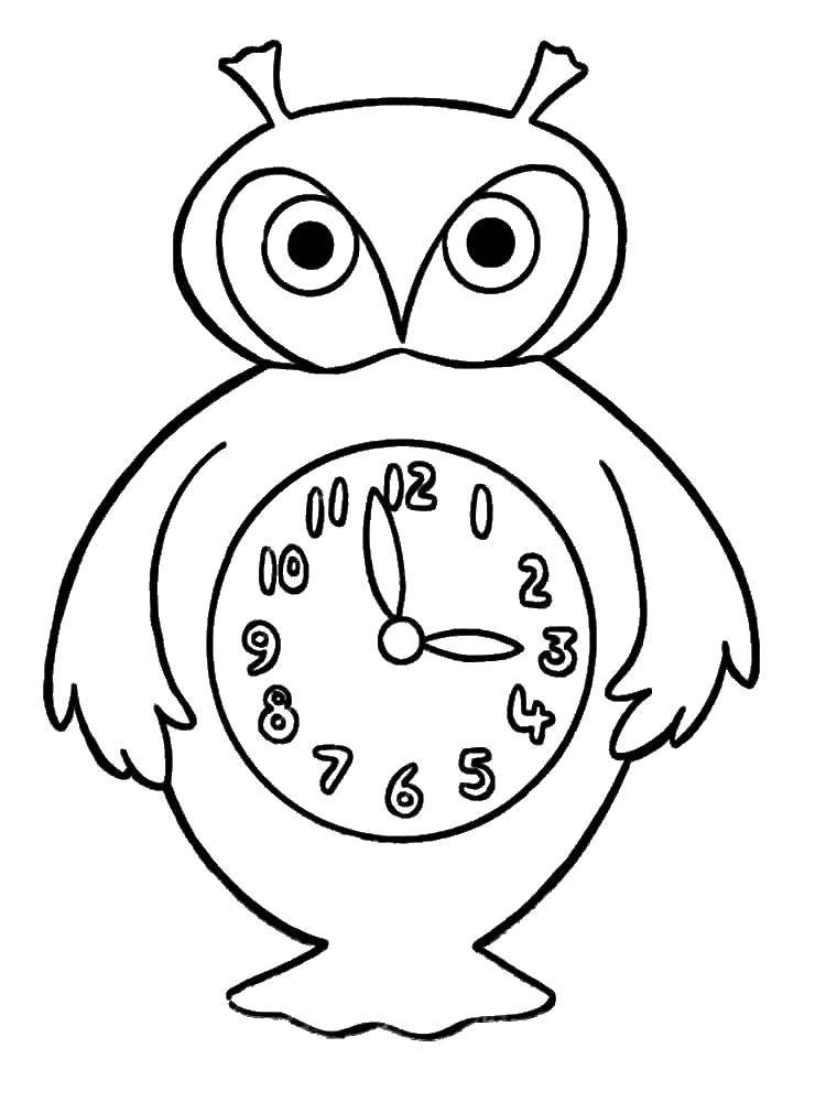 Раскраска часы и сова для детей (часы, сова)