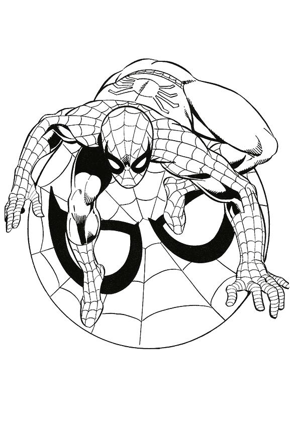 Человек-паук на своей эмблеме раскрашивает героев (Человек-паук)