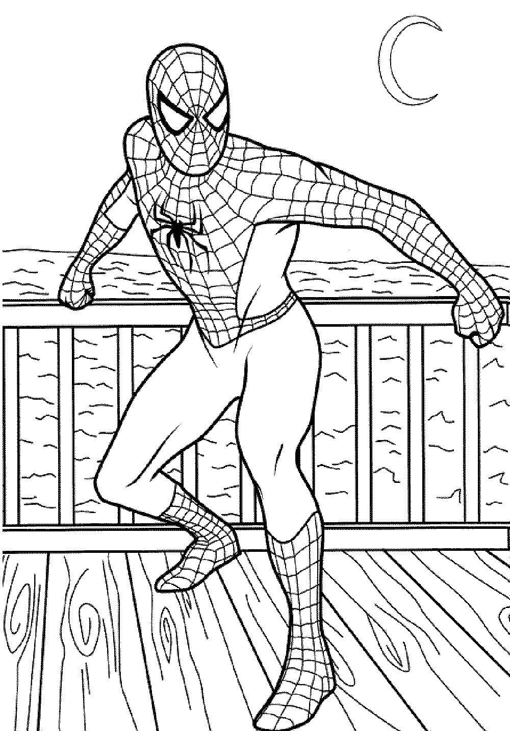 Раскраска с Человеком-пауком для мальчиков (Человек-паук, спайдермен)