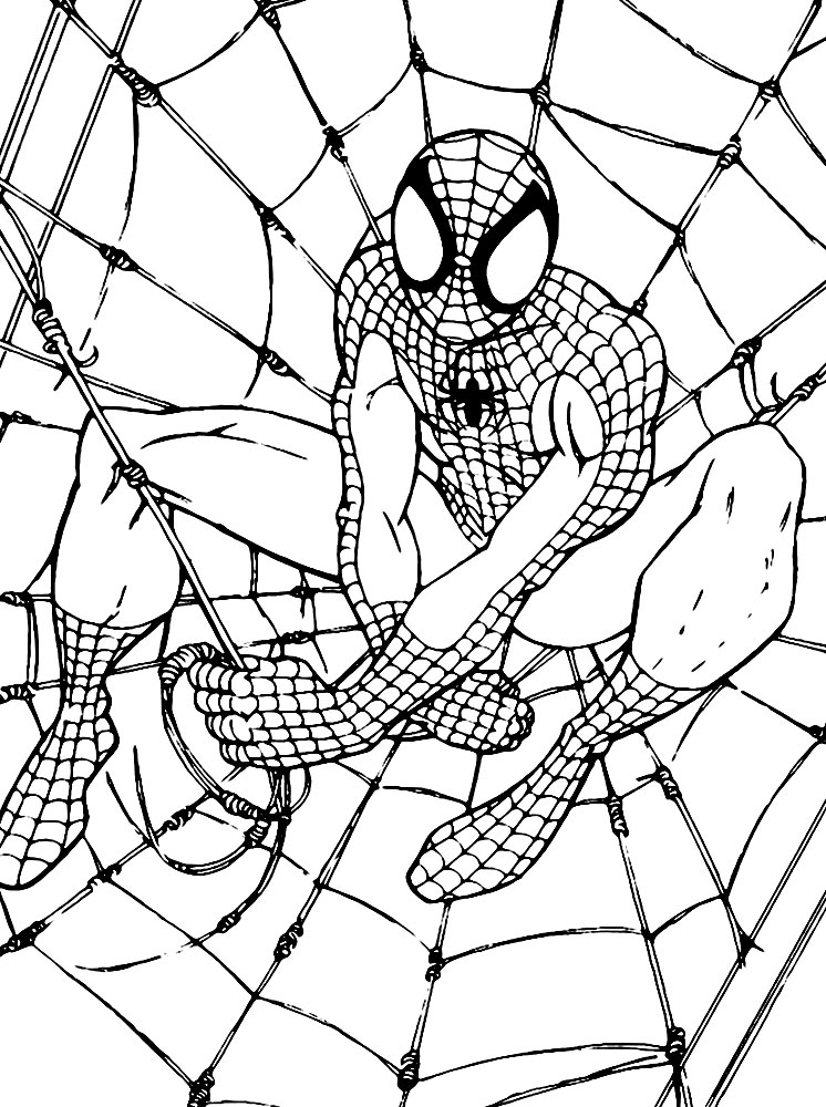 Раскраска Человек-паук для мальчиков (Человек-паук)