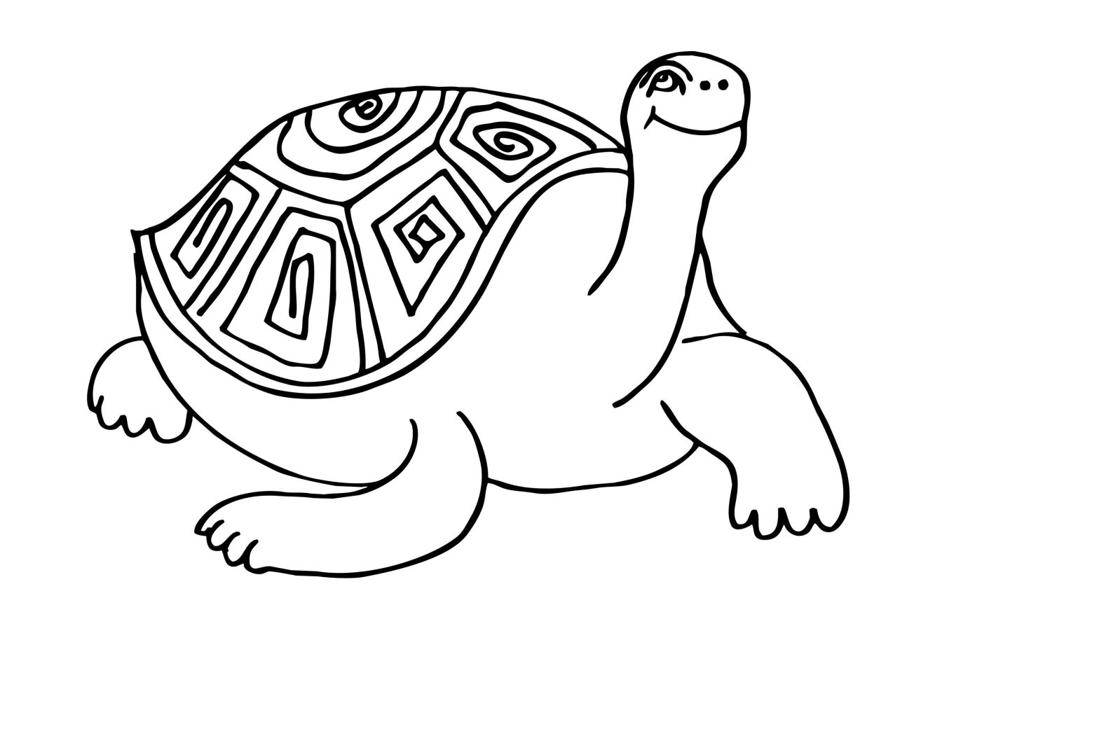 Изображение черепахи для раскраски (черепахи)
