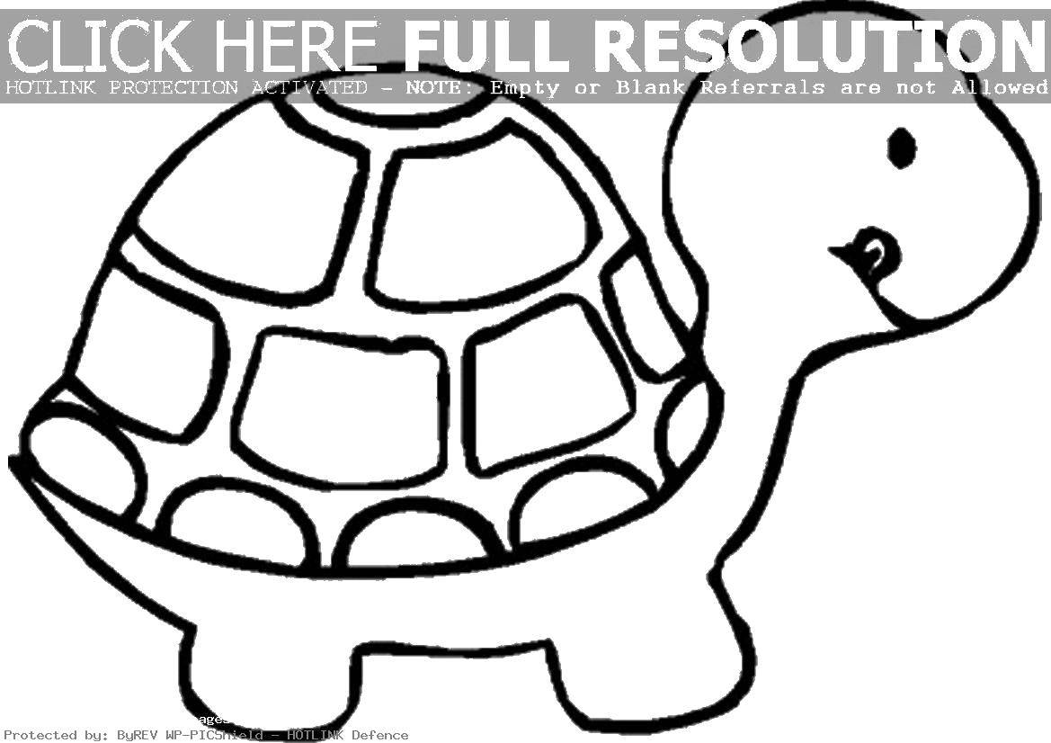 Раскраска животных черепаха, панцирь (черепаха, панцирь)