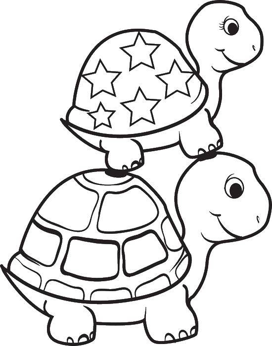 Раскраски морской черепахи Рептилии для детей (Рептилия)