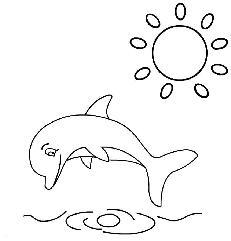 Раскраска дельфина прыгает над водой (дельфин)