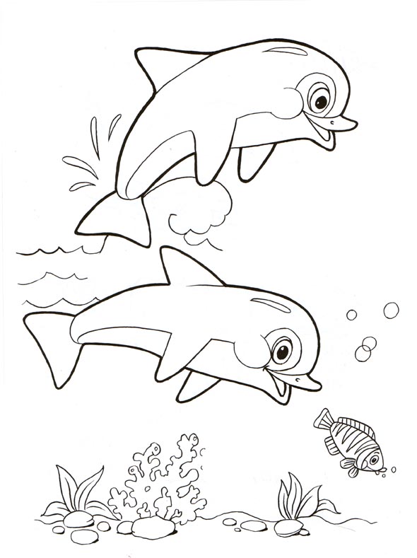 Раскраски дельфинов для мальчиков (дельфины, картинки)