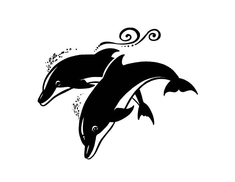 Раскраски дельфины - выберите изображение для раскрашивания (дельфины)