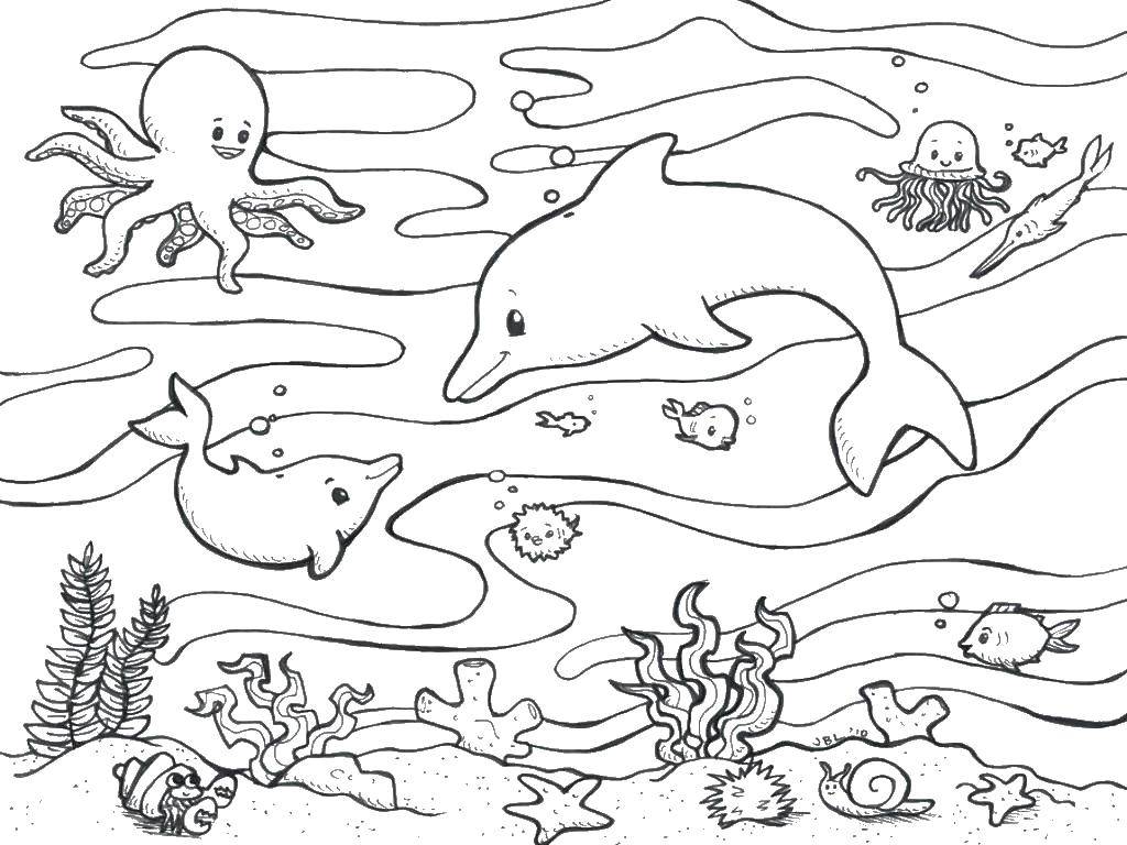 Раскраска с дельфинами и морем (океан, дельфины)