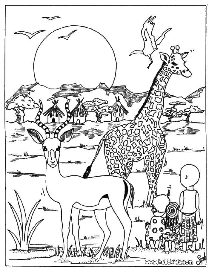 Раскраска жирафа в Африке для детей (Африка)