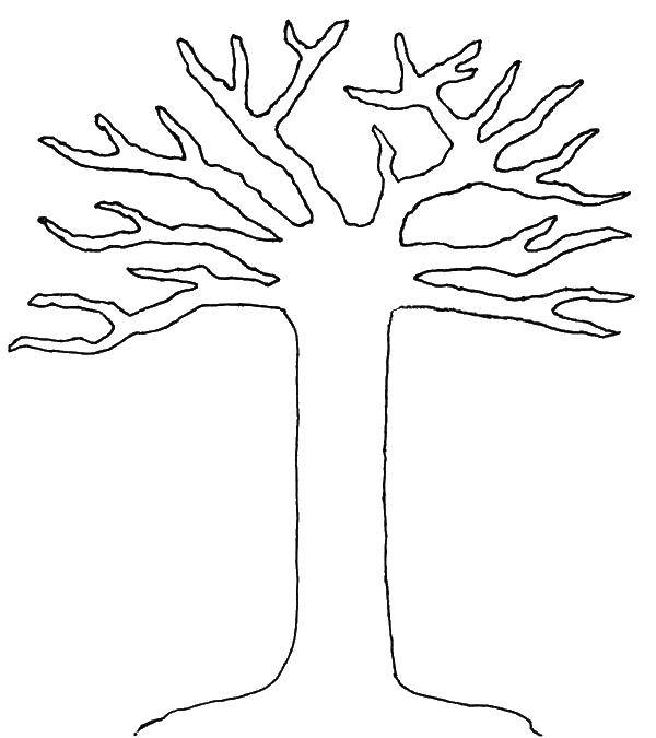 Раскраска дерева для детей (деревья, листва)