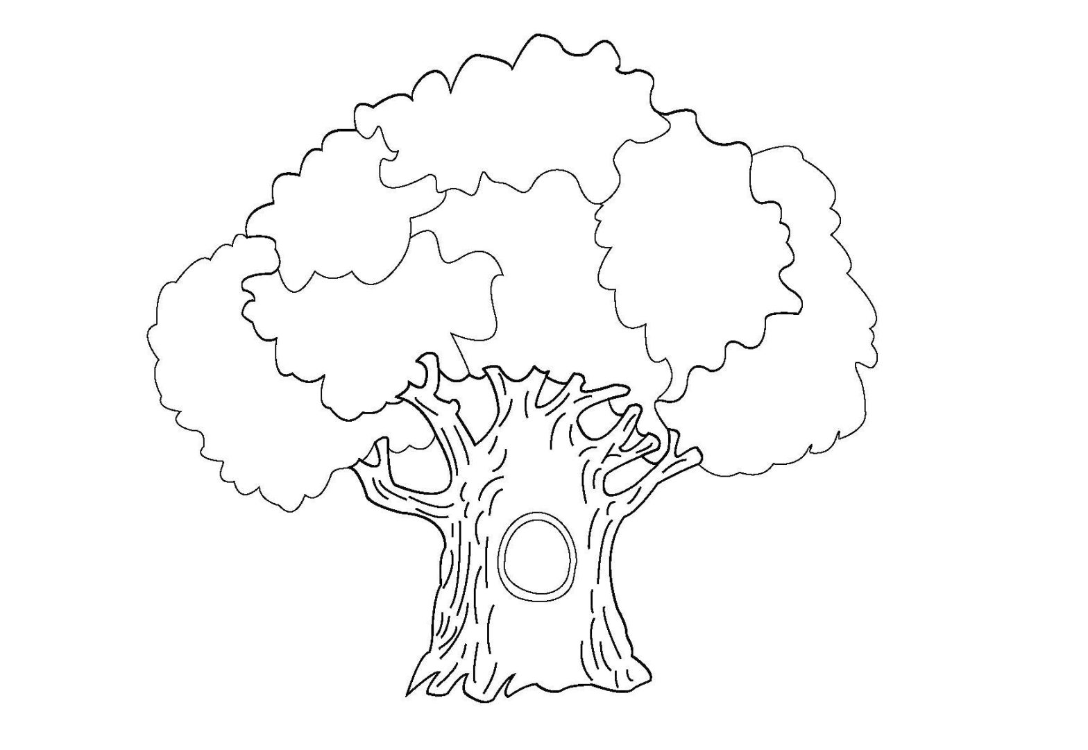 Раскраски деревьев и листьев для детей, доступны скачивания печати (развивающие, мультфильмы)