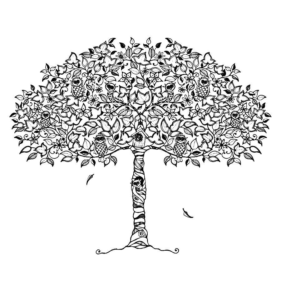 Раскраски антистресс дерево, птицы (антистресс, дерево, птицы)