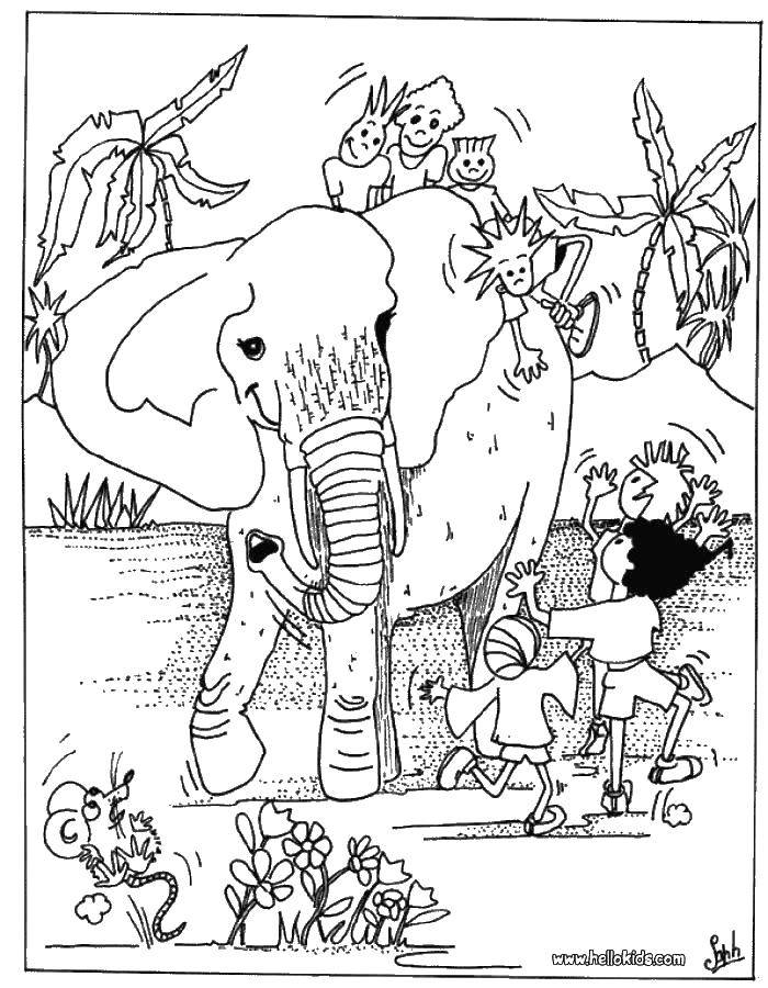 Раскраска Дикие животные дети: слон и мышка (дикие, слон, мышка, дети)