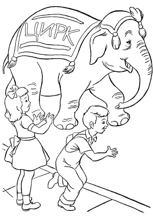 Раскраска цирка для детей с изображением слоника (дети, слоник, животные, увлекательное, занятие)