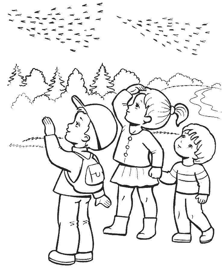 Раскраска с изображением осени, листьев и птиц для детей (осень, дети, птицы)
