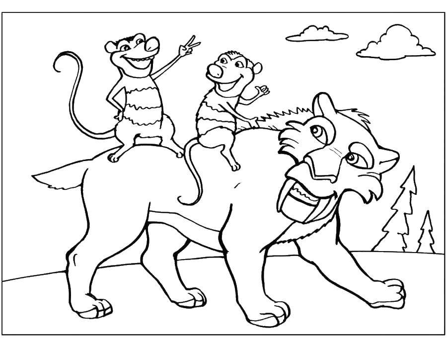 Раскраска с героями Ледникового периода: тигр, опоссум, Крэш, Эдди (Эдди)