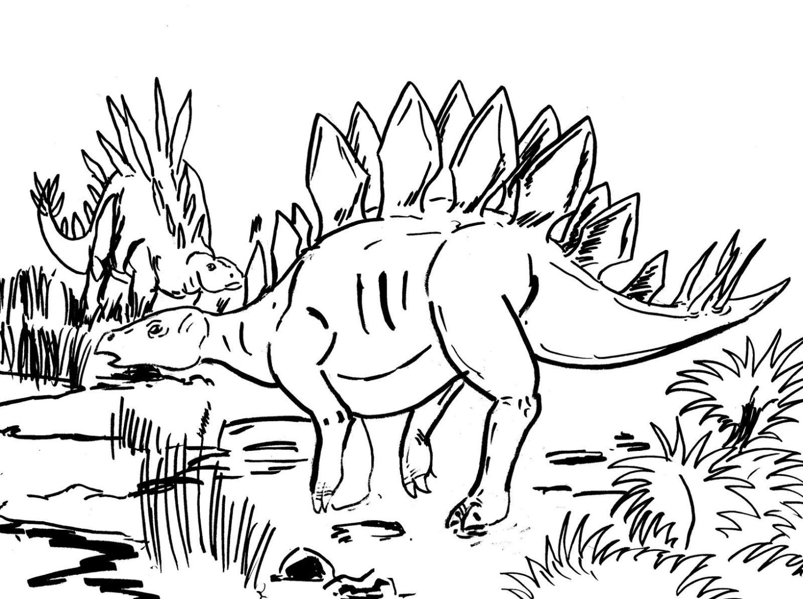 Раскраска с изображением динозавра для мальчиков (динозавры, занятие)