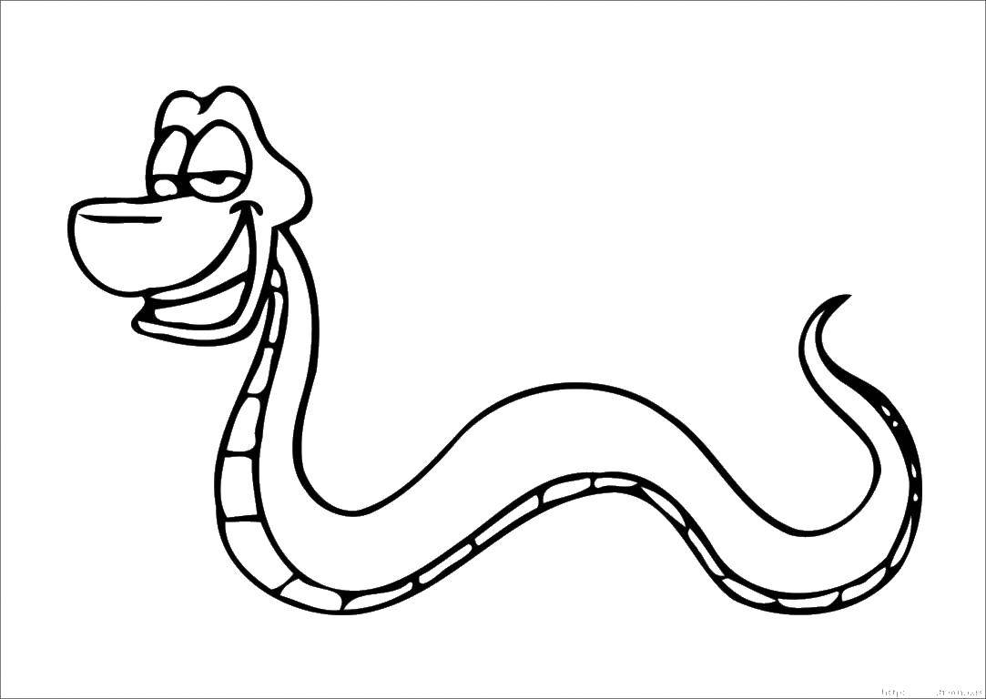 Раскраска змеи (раскрашивание)