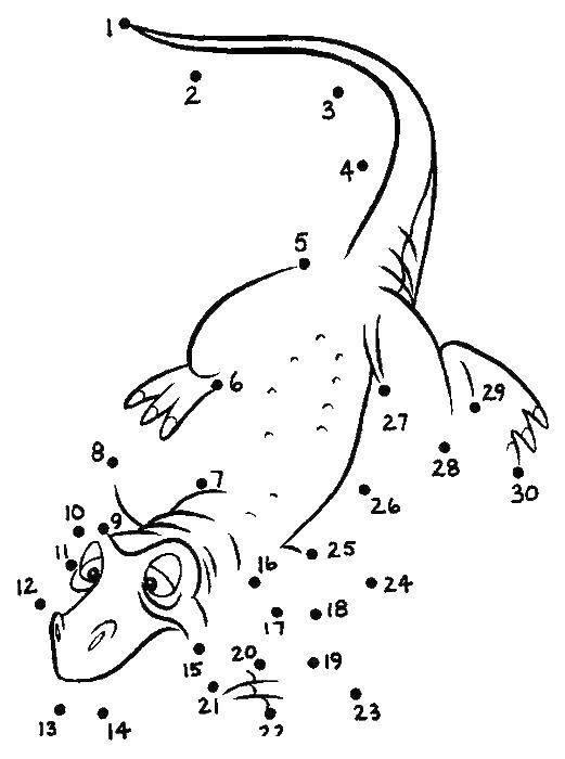 Раскраска ящерицы по цифрам (ящерица, развивающее, занятие)