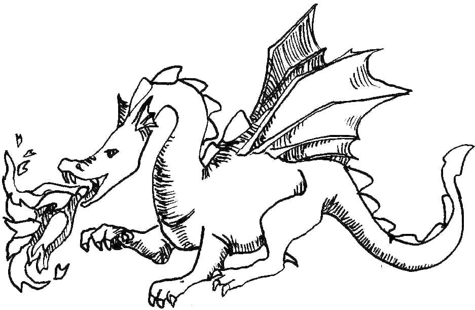 Раскраски с драконами для детей всех возрастов - Огонь (драконы)