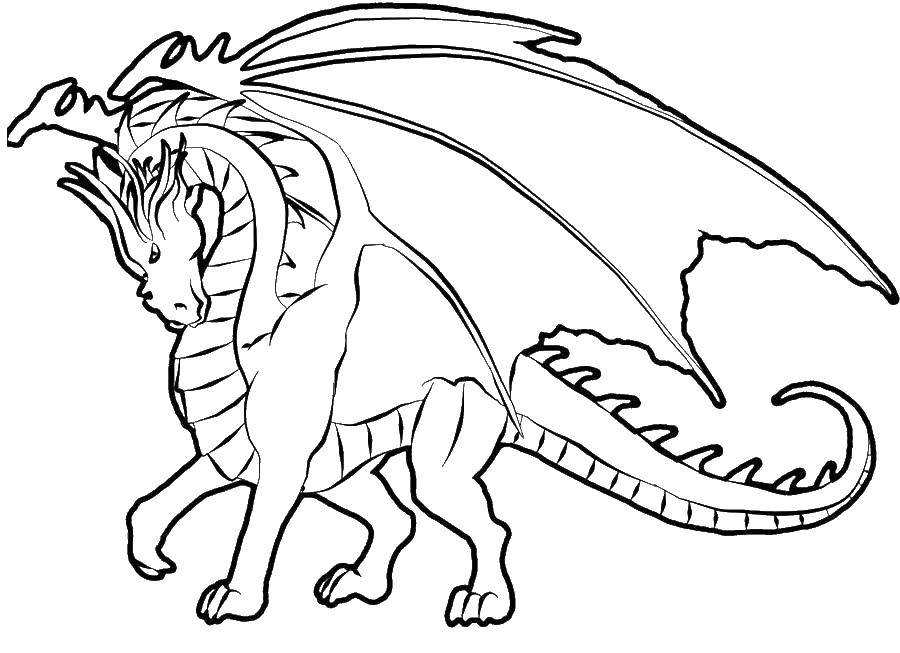 Раскраска дракона с крыльями для детей (драконы, дракон, крылья)