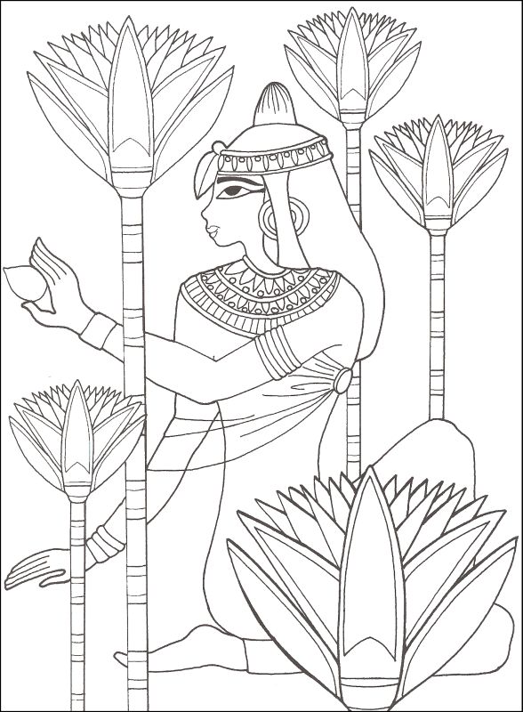 Раскраски для мальчиков - изображения древнего мира, принцесс Египта и цветов (цветы)