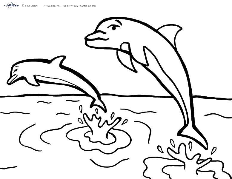 Раскраска дельфина в воде с красивым хвостом (морские, животные, хвост)