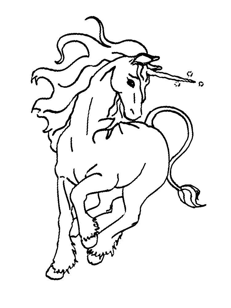 Раскраска единорога и коня (единорог, конь)