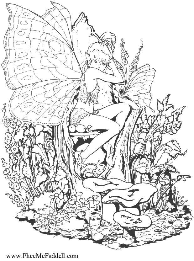 Раскраска с бабочками и феями в фэнтези природе (фэнтези)