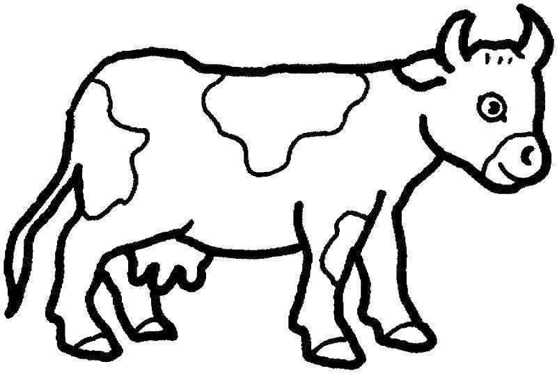 Раскраски животные: корова (корова)