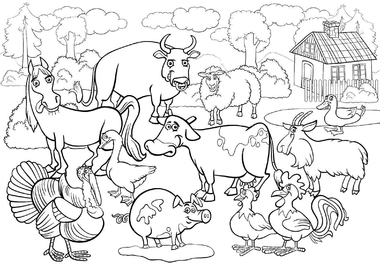 Раскраска животных на ферме (ферма)