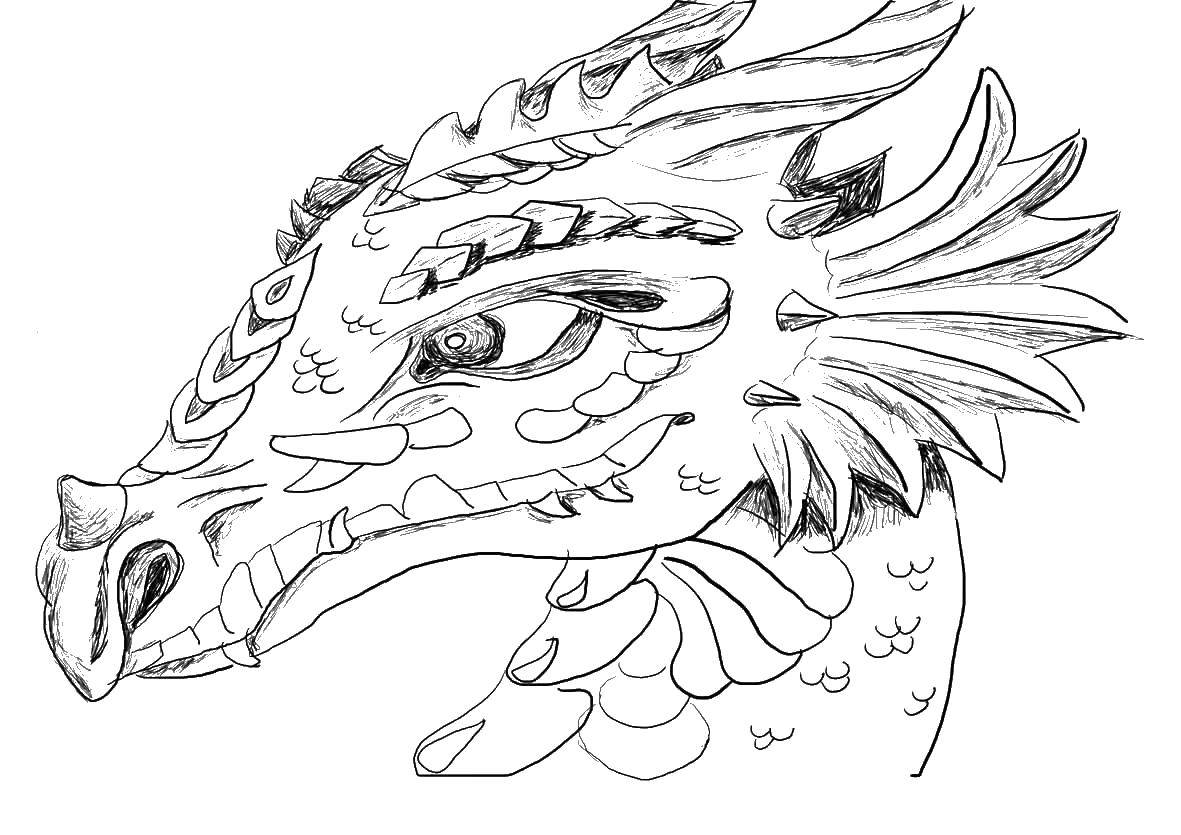 Раскраска дракона с головой и рогами (голова, рога, познавательные, развивающие)