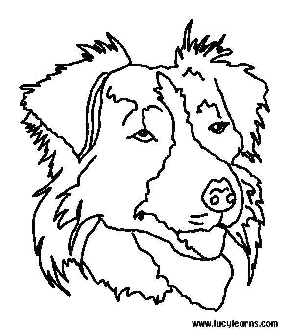 Собаки голова, уши, нос - раскраски для детей (собаки, голова, нос, дети)