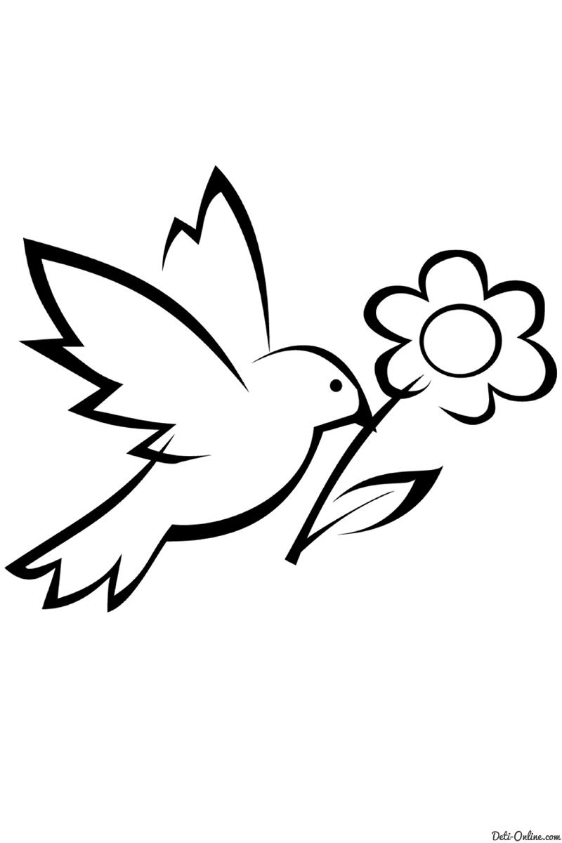 Раскраска голубь с цветком в клюве (голубь, цветок)