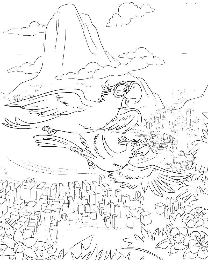Раскраска Рио Голубчик - попугай голубой ара для детей (попугай)