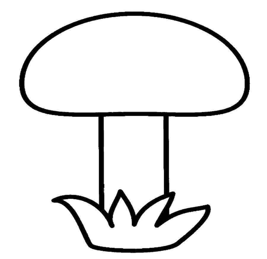 Простые раскраски грибы для детей