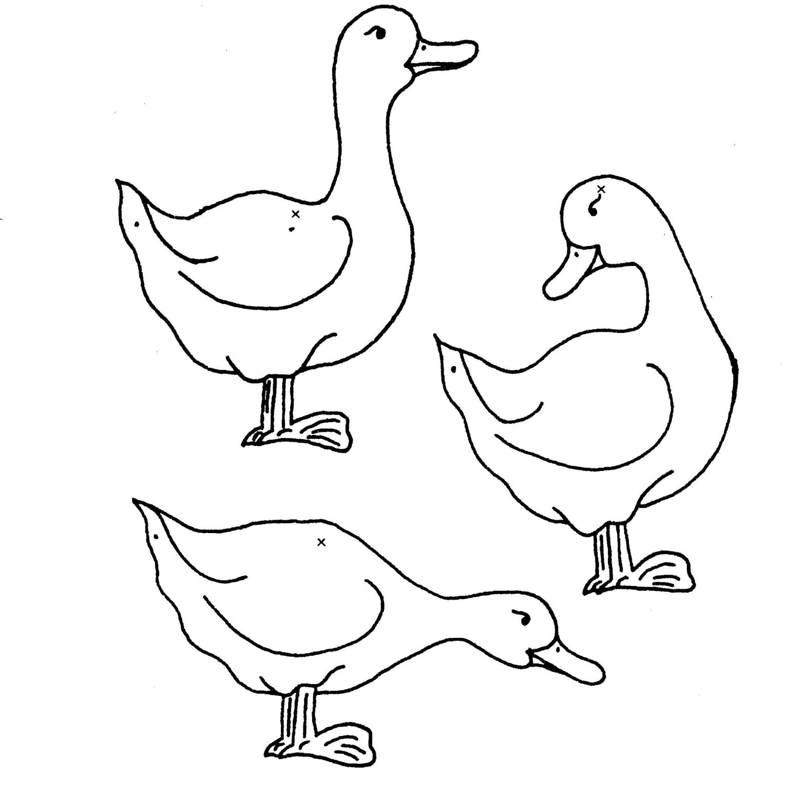Раскраска с птицами и гусями для детей (птицы, гусь)