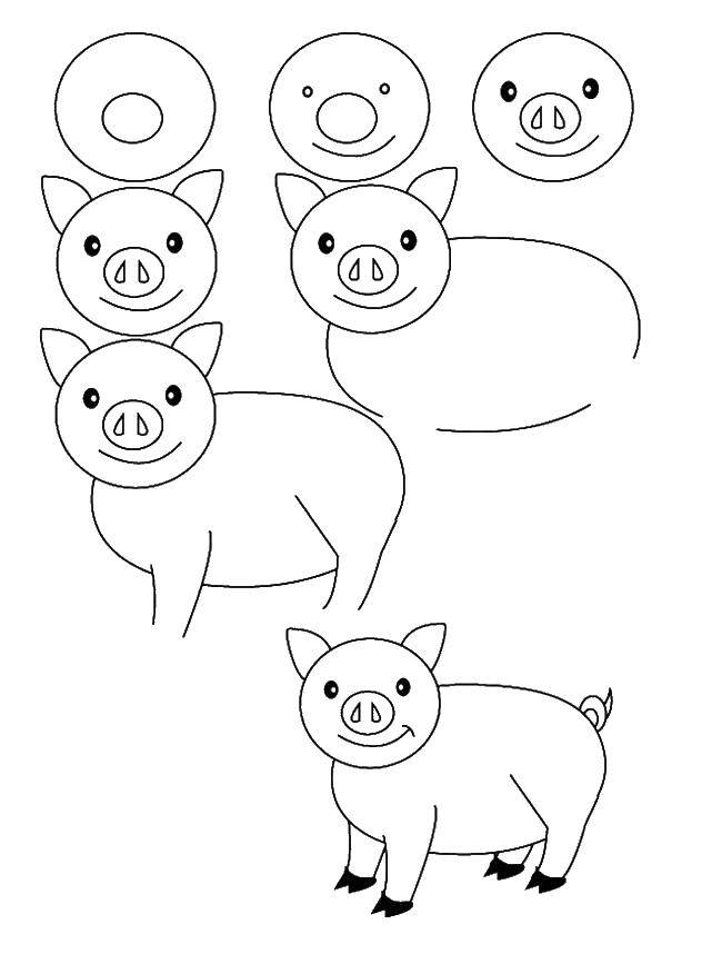 Раскраска поэтапно: как нарисовать свинку для детей (поэтапно, дети)