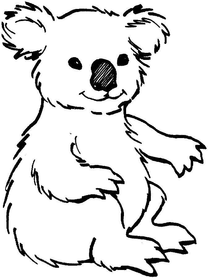 Раскраска животных - коала и мишка (коала, мишка)