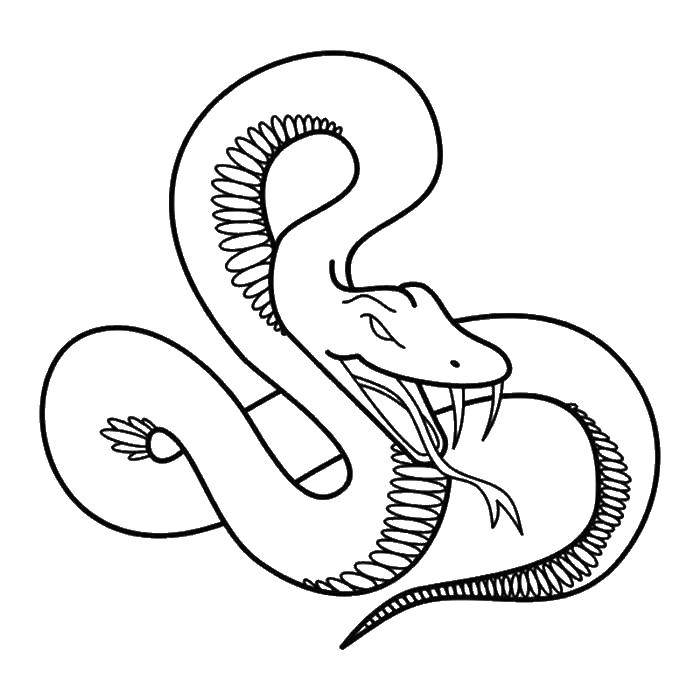 Раскраска змеи кобры для детей (кобры)