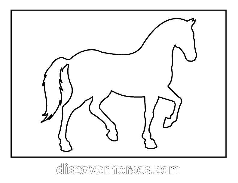 Контурная раскраска лошади для детей (лошади)