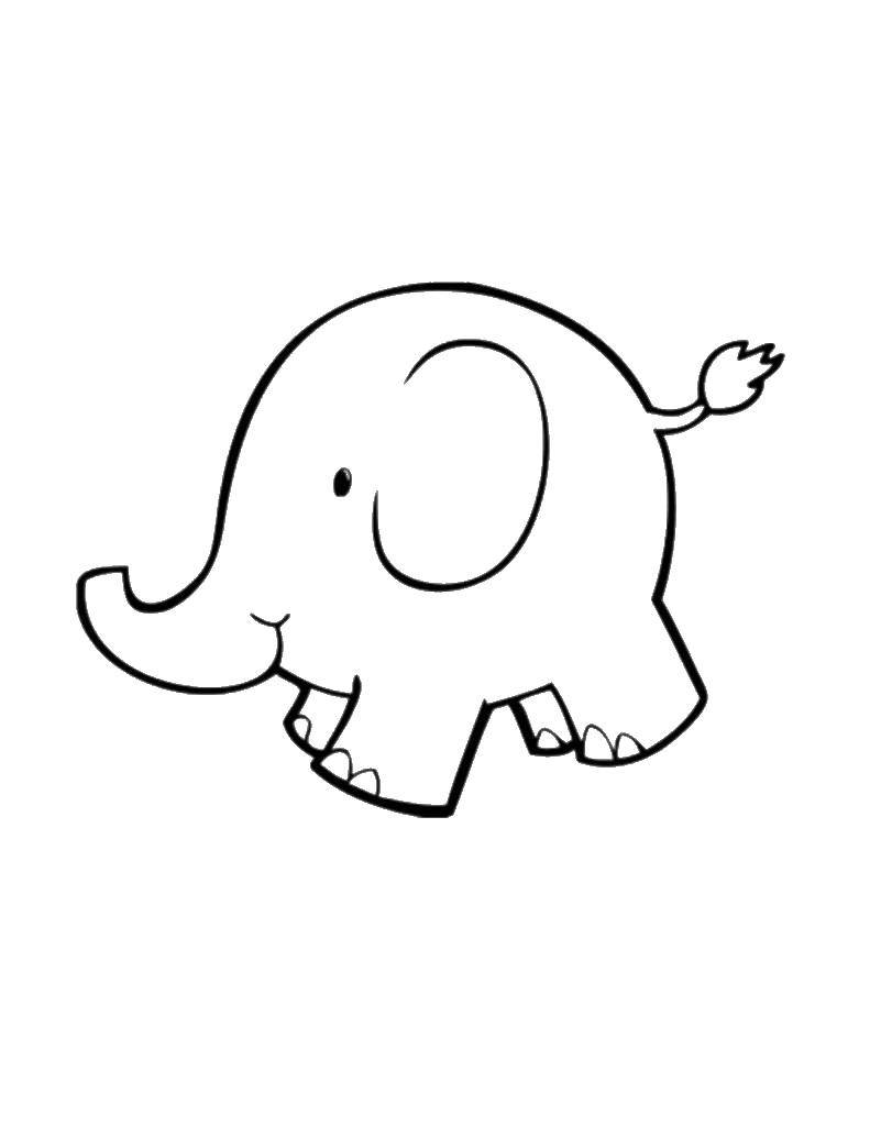 Раскраска слона с контурами для вырезания (хобот)